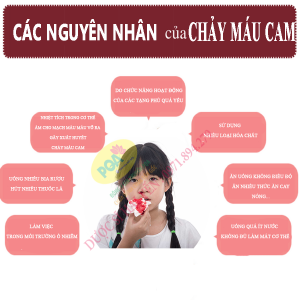 nguyên nhân chảy máu cam