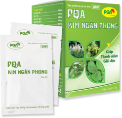 pqa kim ngân phong giúp thanh nhiệt giải độc