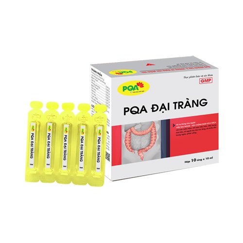 PQA Đại Tràng